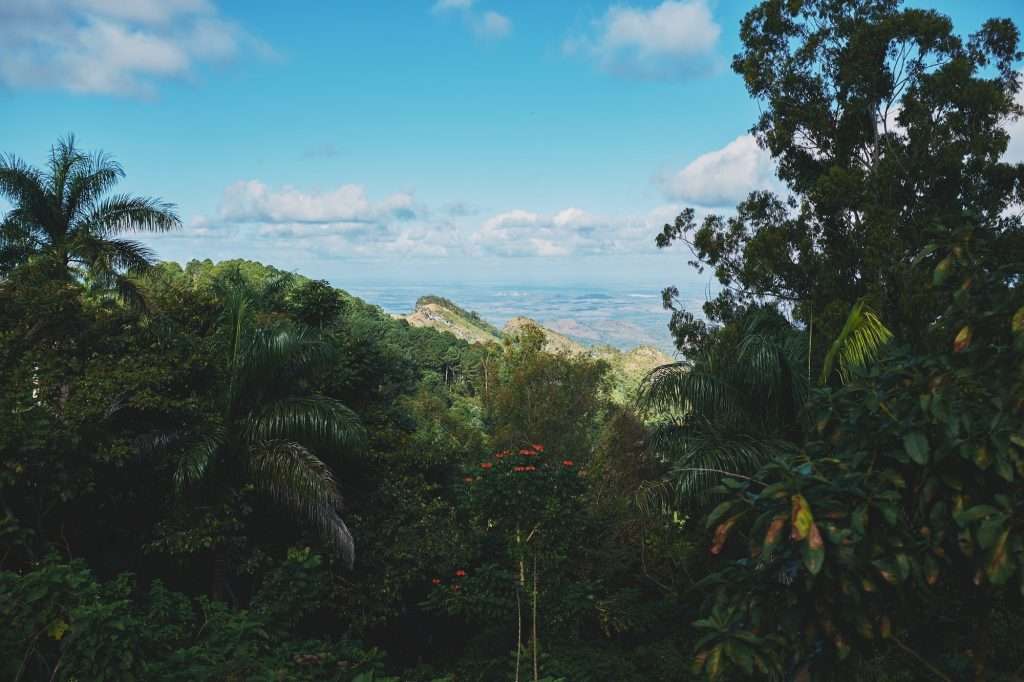 Cuba landscape.